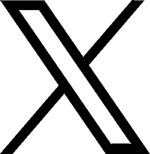 x icon