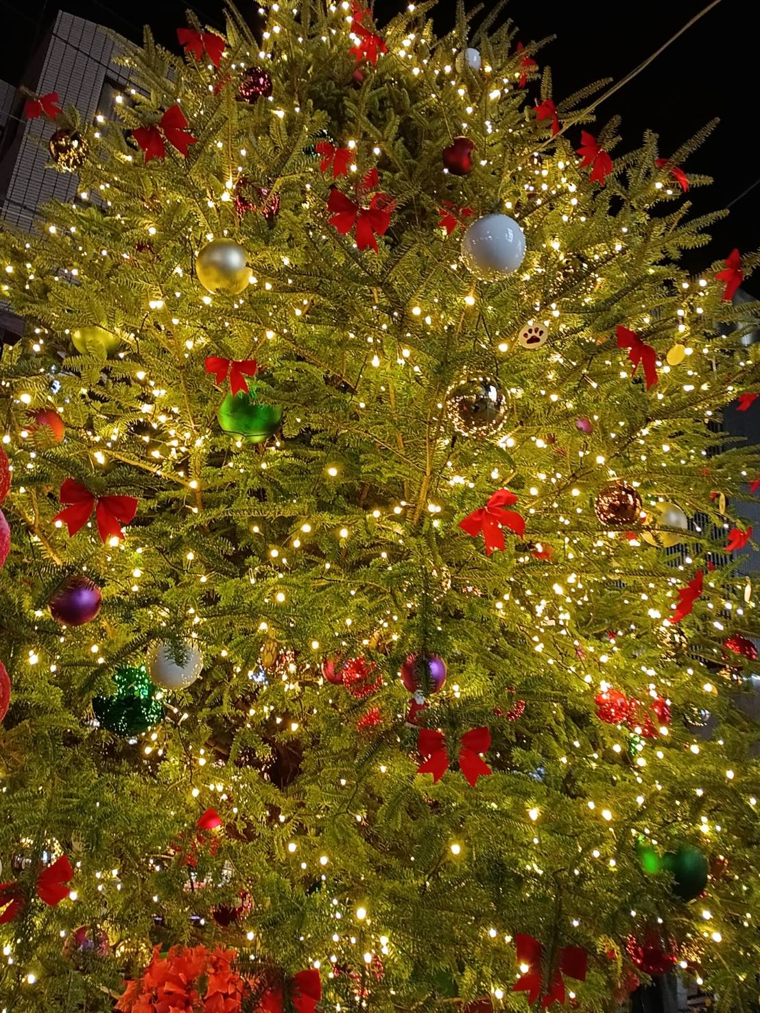 加賀美 りおプライベートショット01