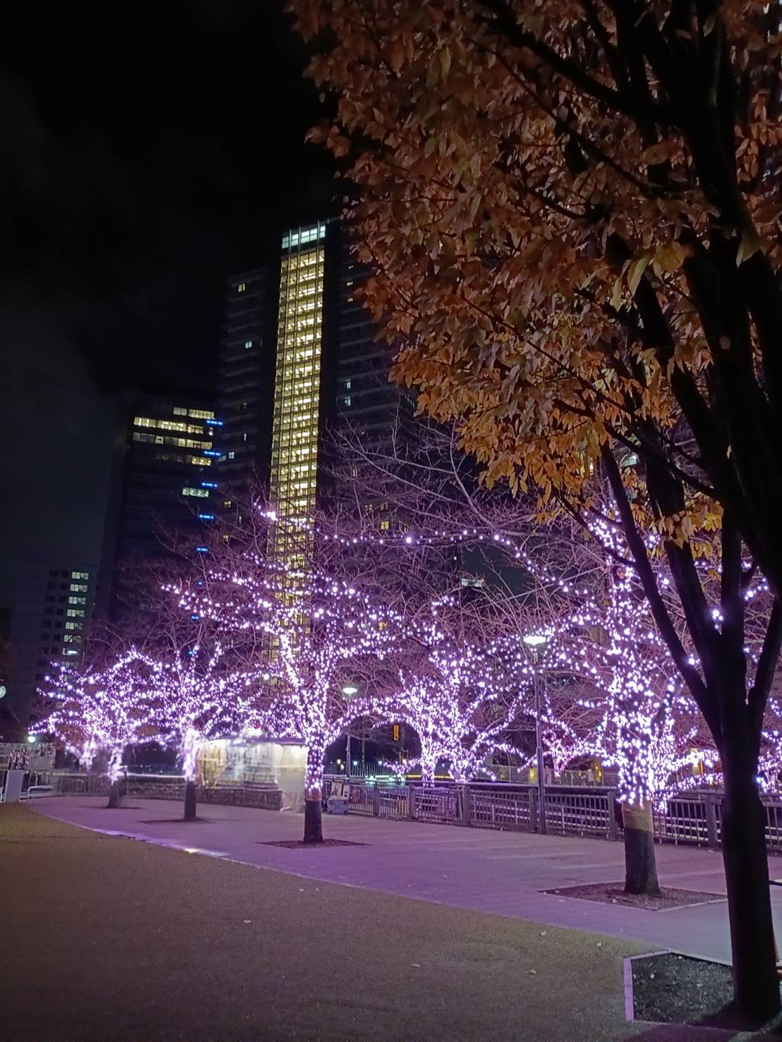 加賀美 りおプライベートショット03