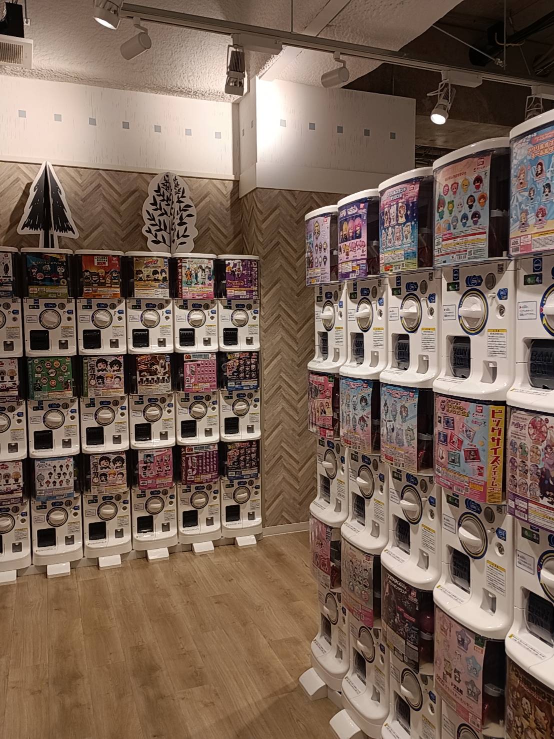 加賀美 りおプライベートショット04